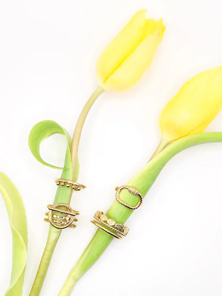 Bagues fantaisies dorée en acier inoxydable de qualité